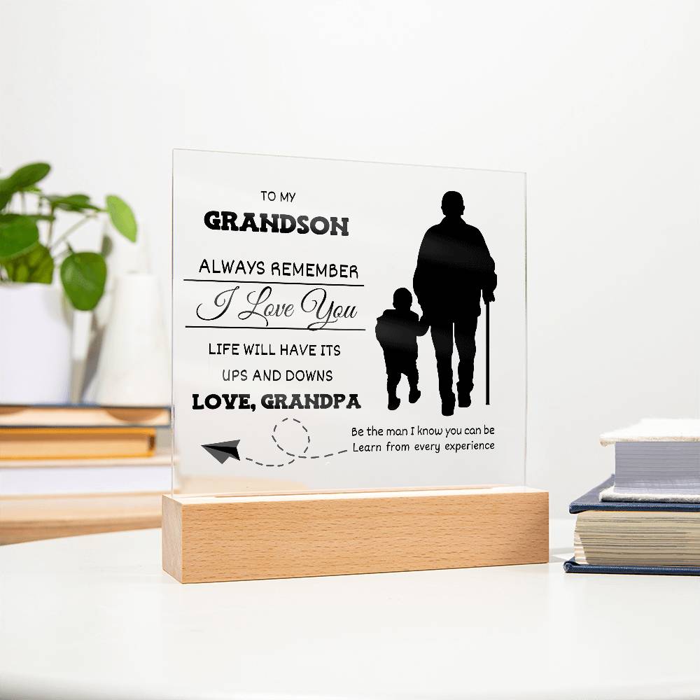 Life Has Ups and Downs Grandson Gift