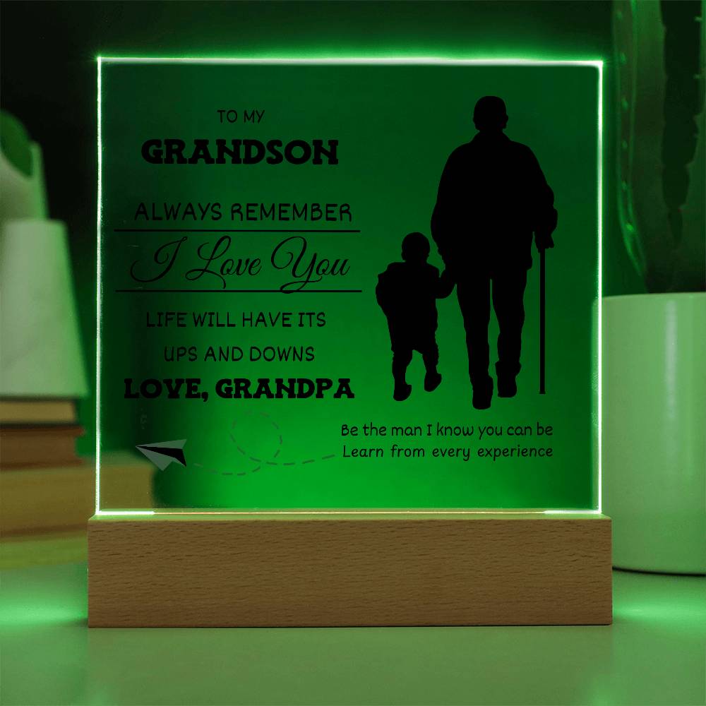 Life Has Ups and Downs Grandson Gift