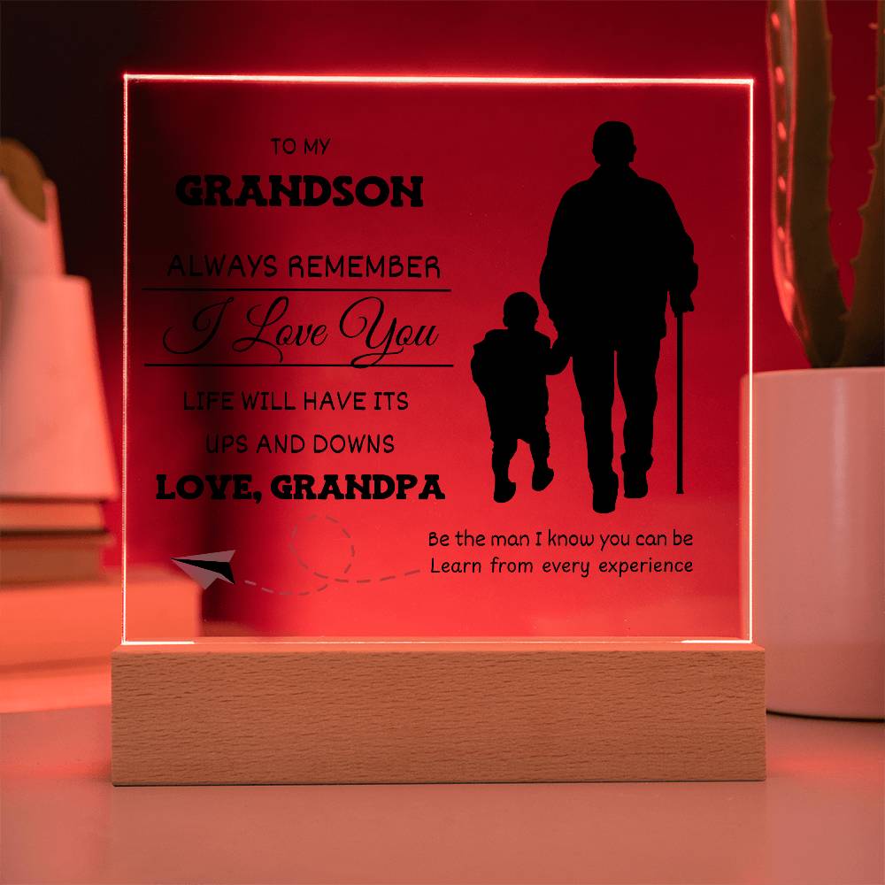 Life Has Ups and Downs Grandson Gift
