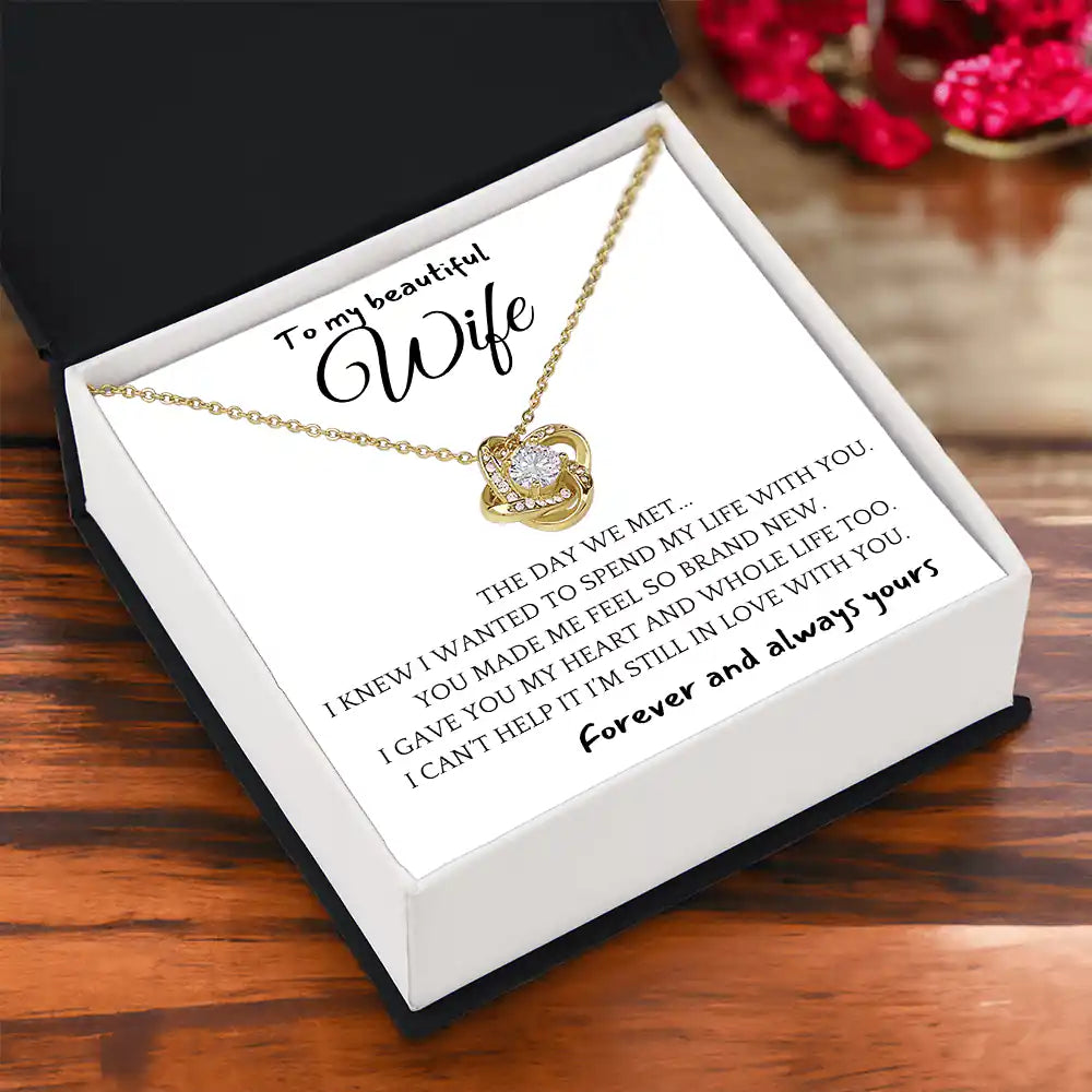 Feel Brand New Wife Gift Gift for Jewelry | Gifting2Go
